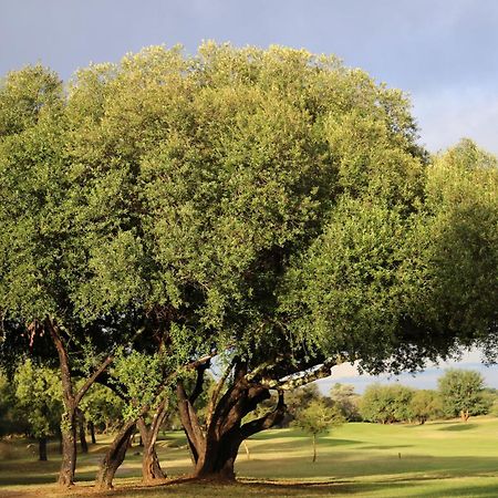 Fairview Manor Hotel Modimolle Buitenkant foto