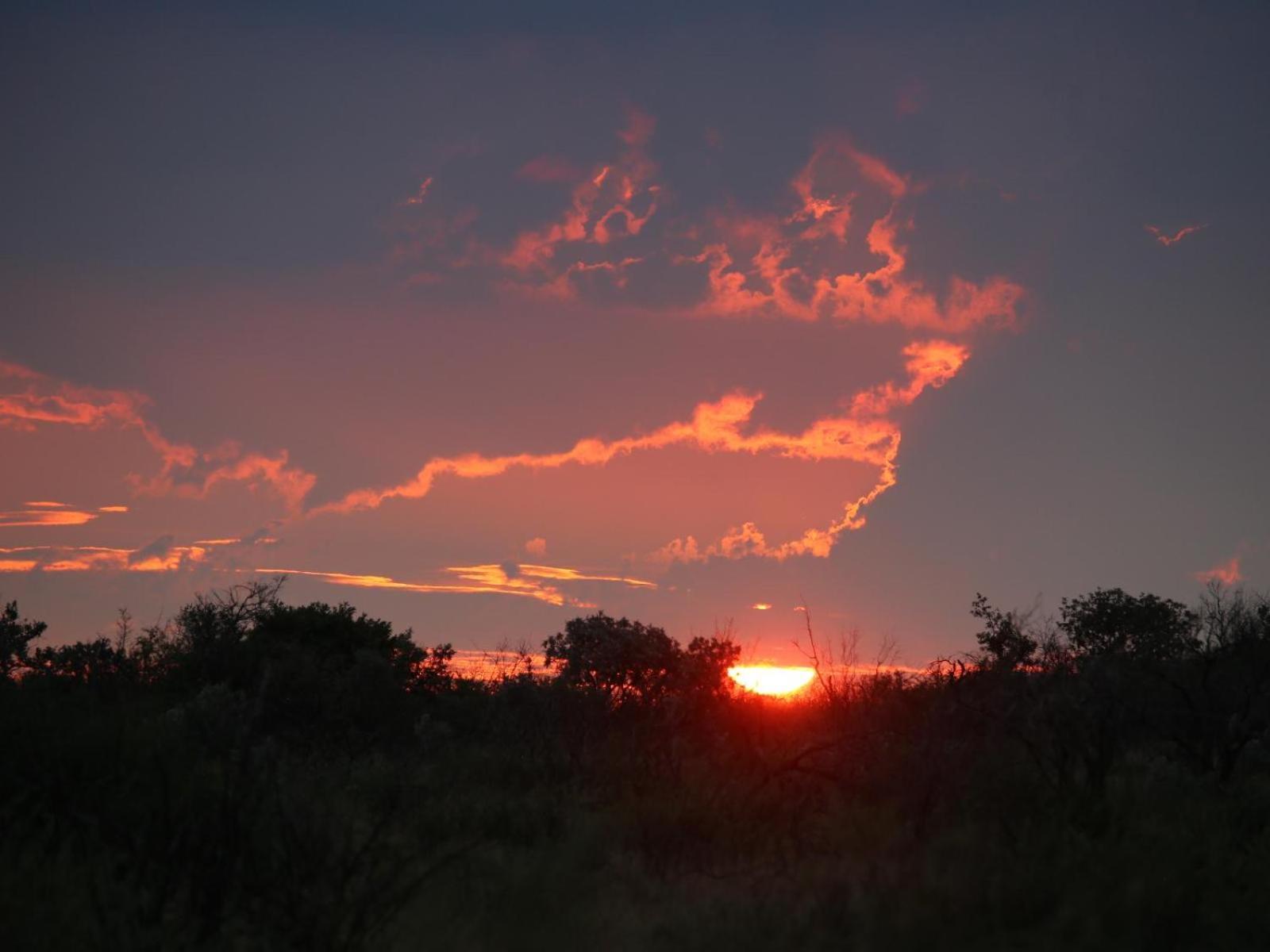 Fairview Manor Hotel Modimolle Buitenkant foto